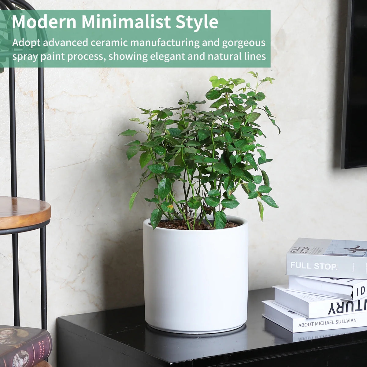 Ceramic Plant Pots with Drainage Hole (White) U23748