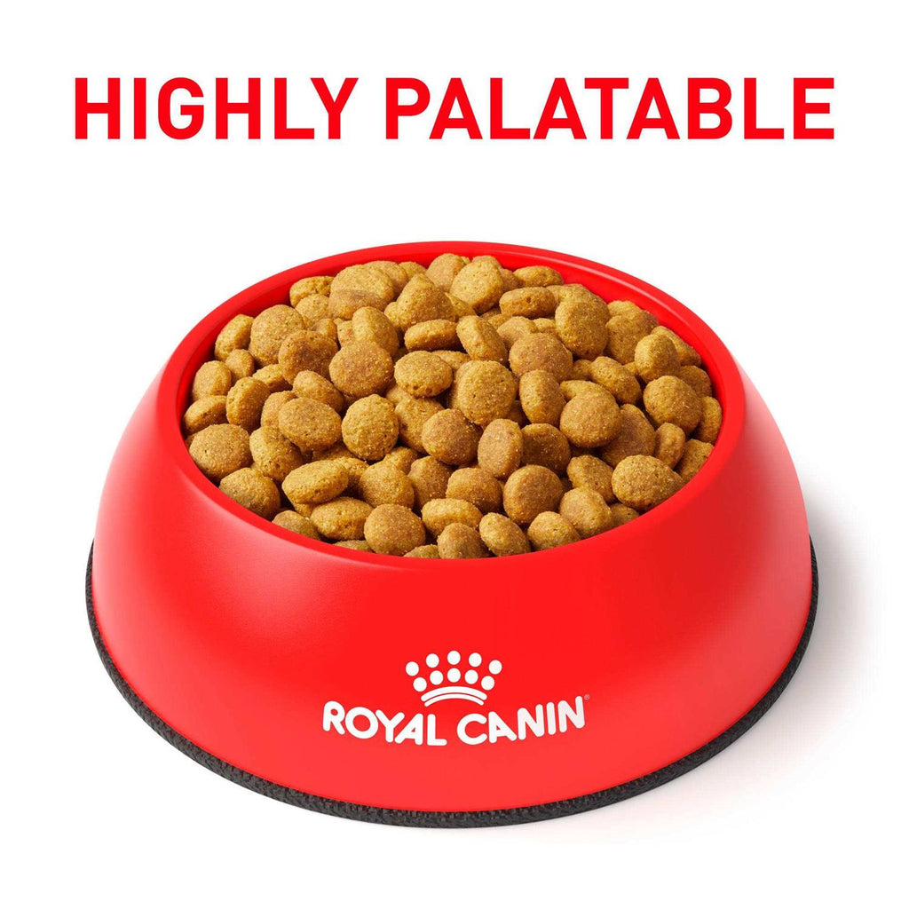 Veterinary Diet Gastrointestinal Moderate Calorie Dry Cat Food A368971