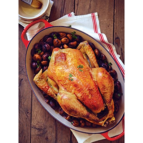 5 qt. Enameled Cast Iron Oval Dutch Oven K47616