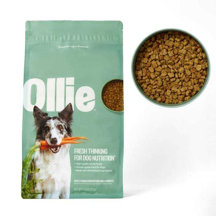 Ollie Baked Chicken Dish with Carrots Dry Dog Food H62440