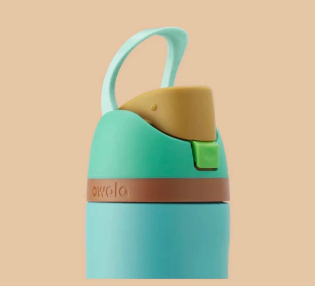 24 oz Stainless Steel Water Bottle B70735