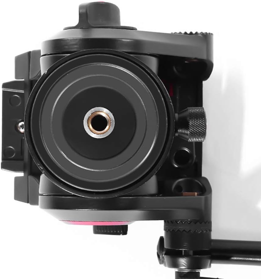 Video Tripod with Ground Spreader W456