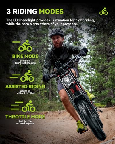Electric Dirt Bike 20 inch Fat Tire 300+ lbs Heavy Duty Mountain Bicycle e-Bike D447