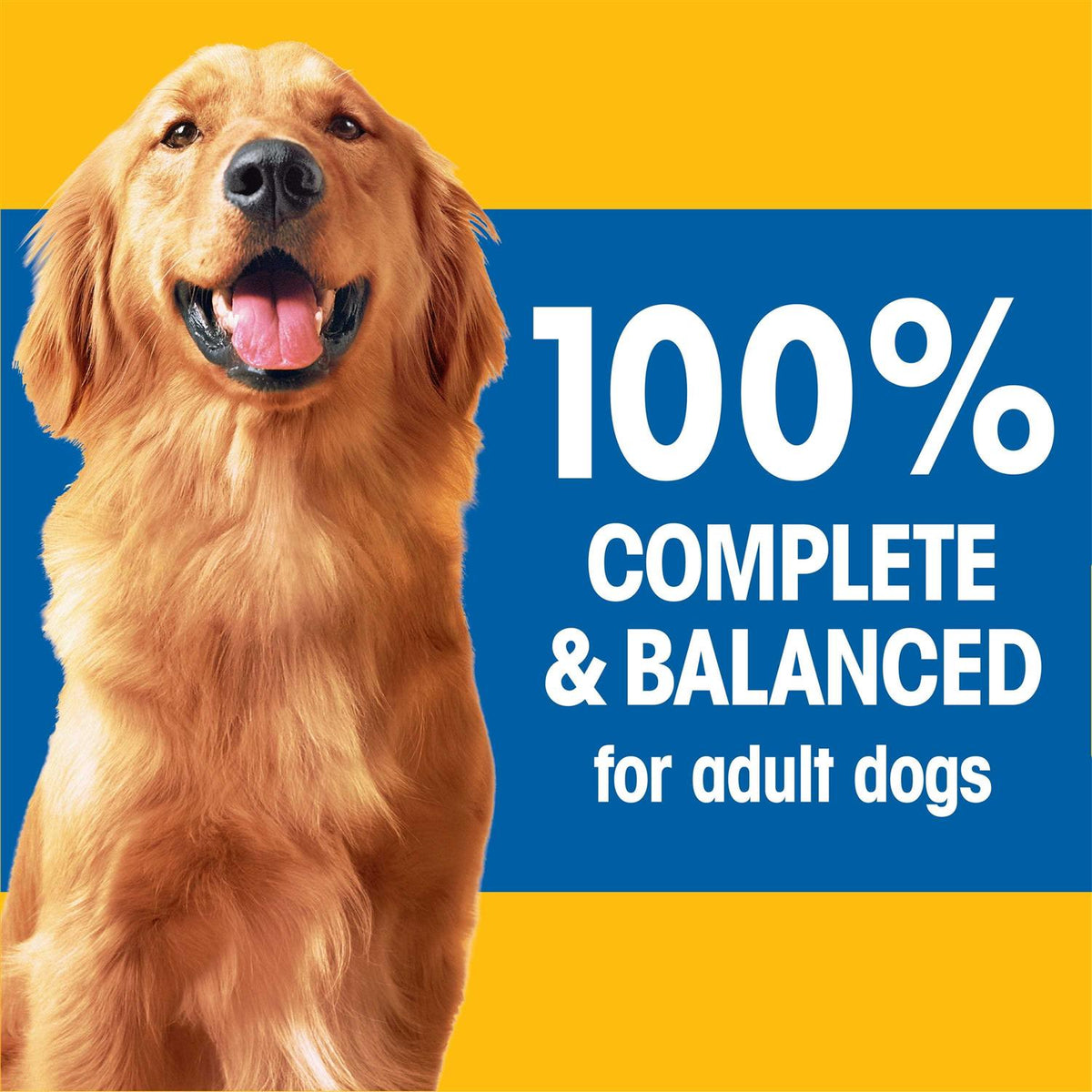 Pedigree Adult Complete Nutrition Roasted Chicken Rice & Vegetable Dry Dog Food U29863