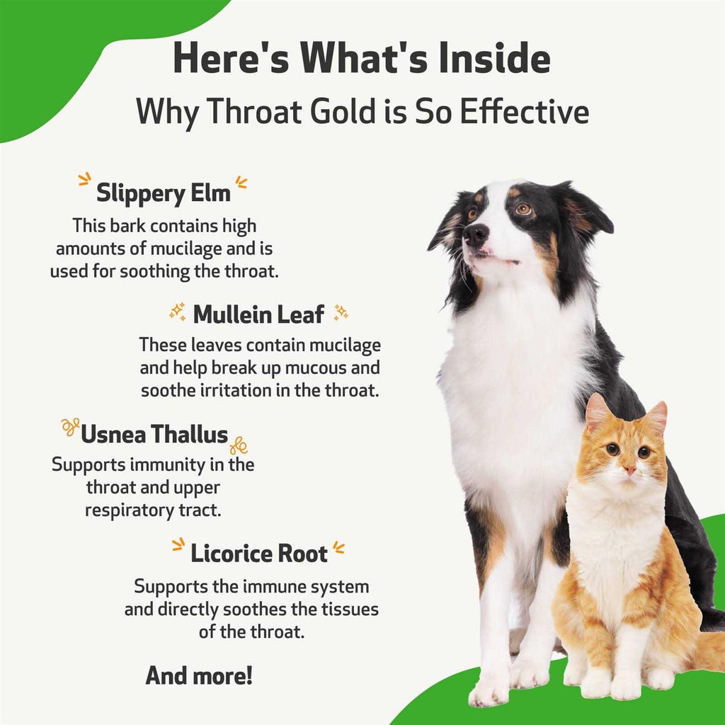 Throat Gold for Dogs I182