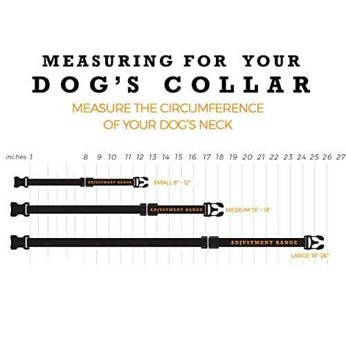 Dog Collar W157381