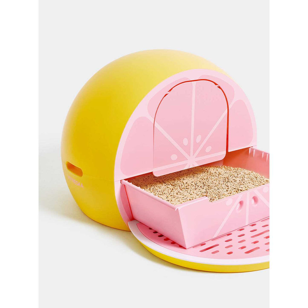 Kitty Kove G744893