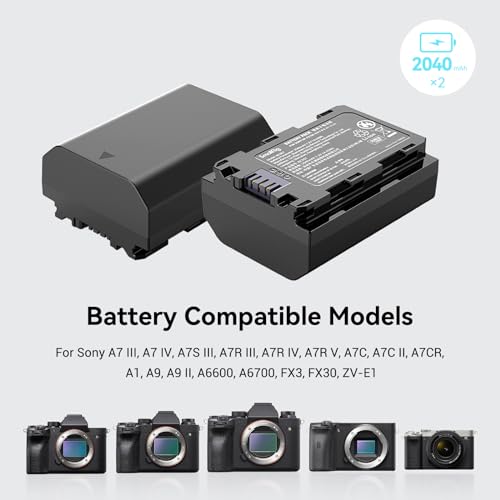 Camera Battery Charger Set for NP-FZ100 D667814