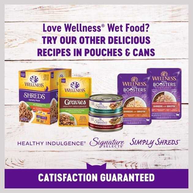 Natural Grain Free Gravy Cat Food Pouch E389017