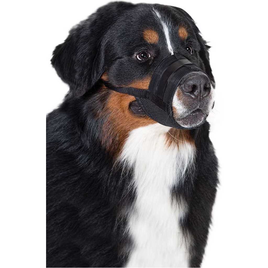 Dog Muzzle K7890
