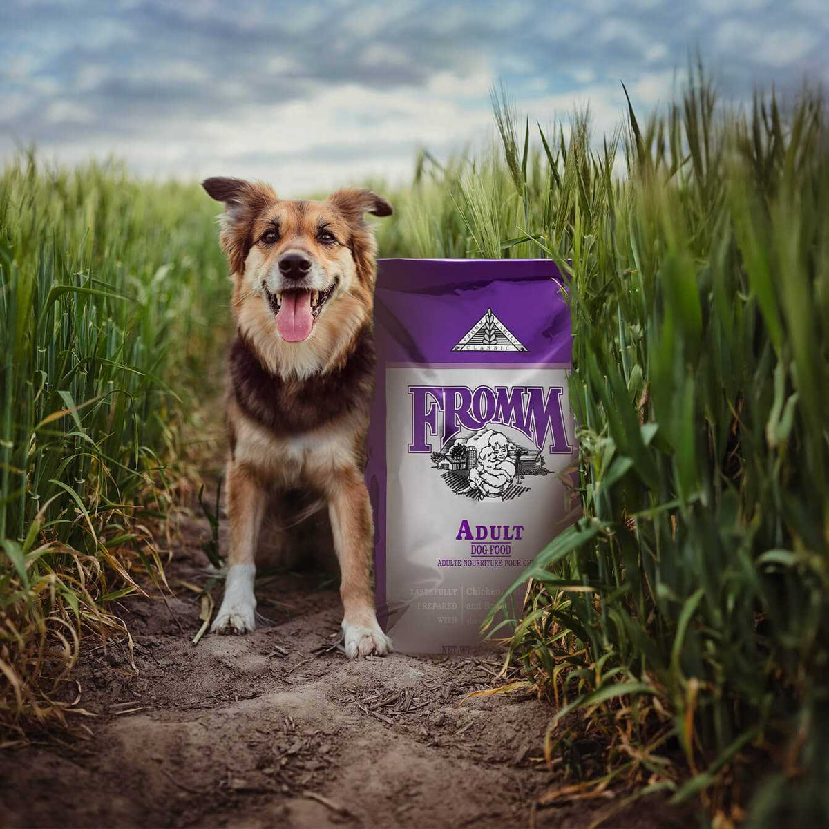 Adult Dog Food G62771