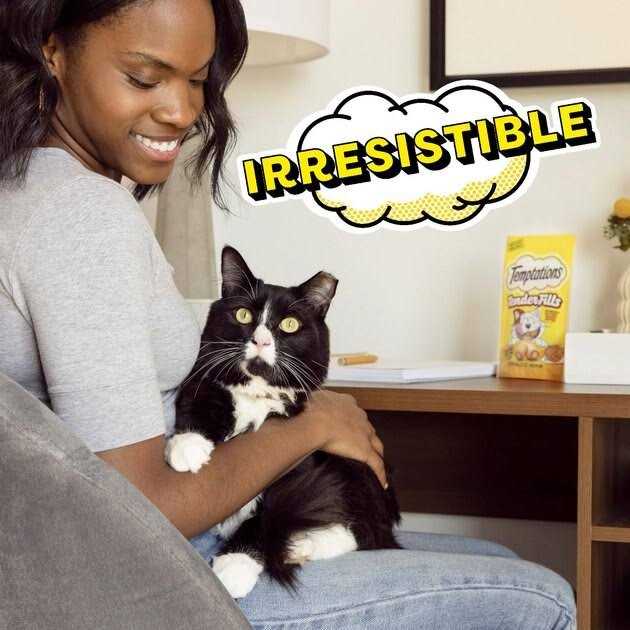 Adult Cat Treats B9863