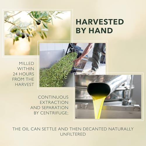Extra Virgin Olive Oil 33.8 fl oz Pack of 2 W2739
