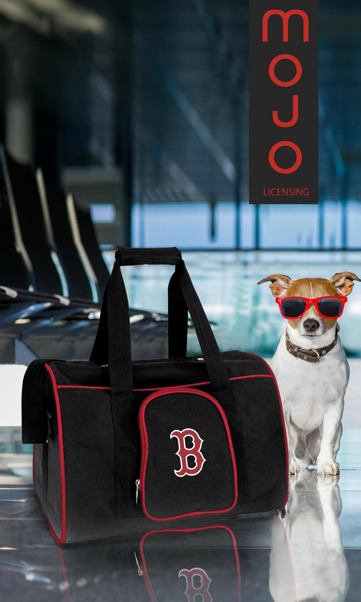 Premium Pet Carrier R2698
