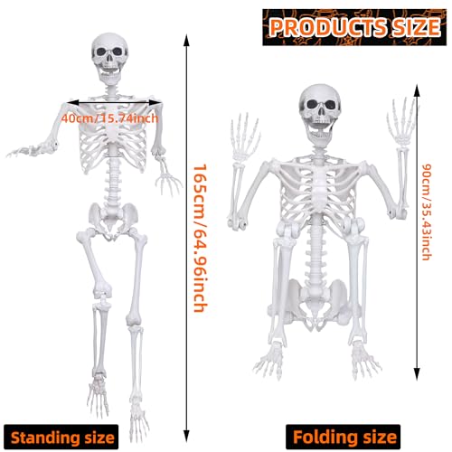 5.4Ft 2PCS Posable Skeleton with Movable Joints W76732