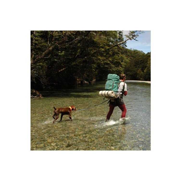 Hands Free Dog Leash D1613