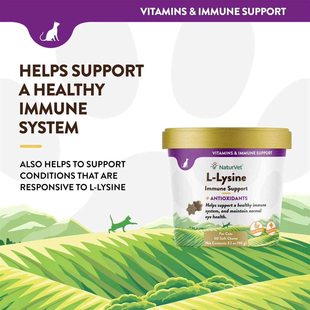 L-Lysine Immune Support Plus Antioxidants W3935