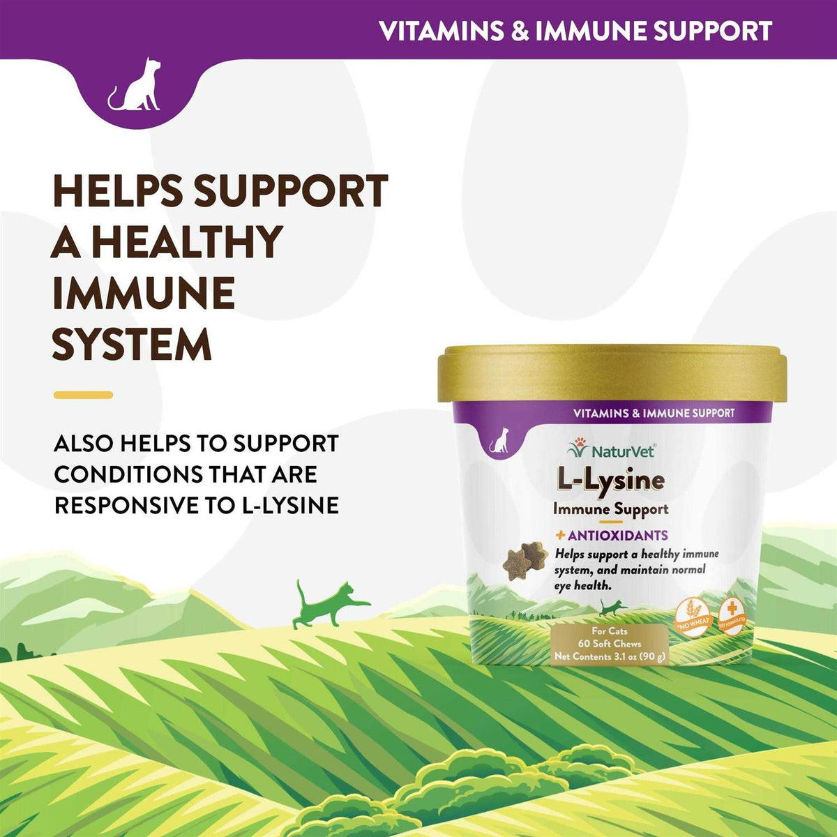 L-Lysine Immune Support Plus Antioxidants W3935