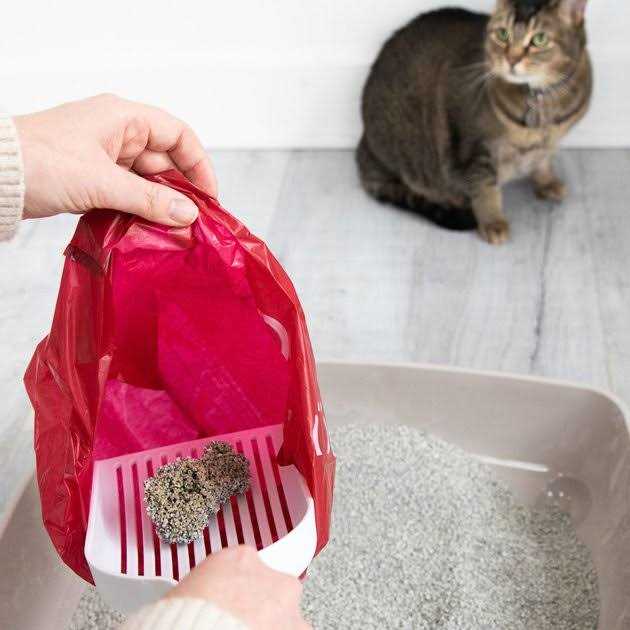 Lavender Scented Leak Proof Cat Litter Disposal Bags T547063