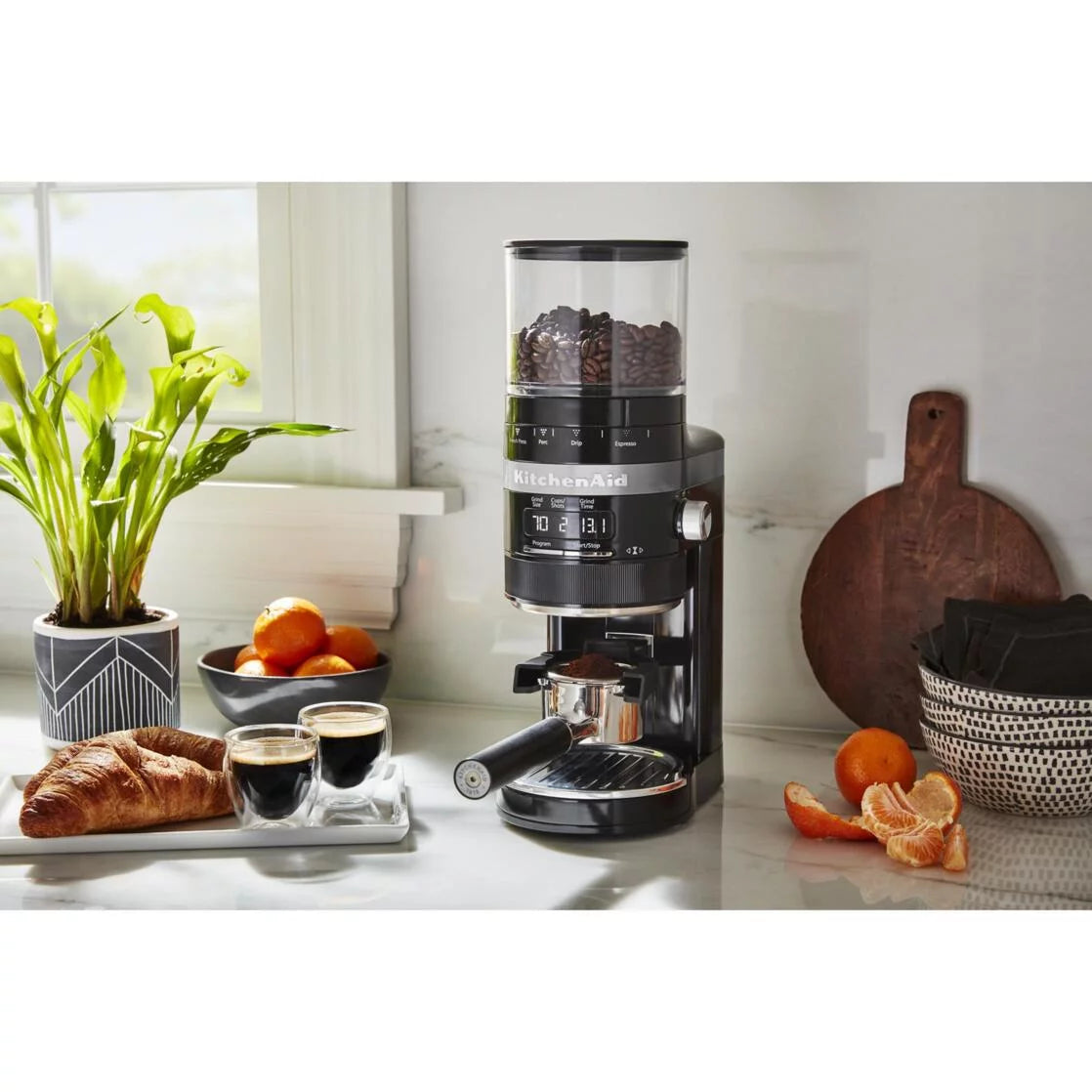 Burr Coffee Grinder C1007
