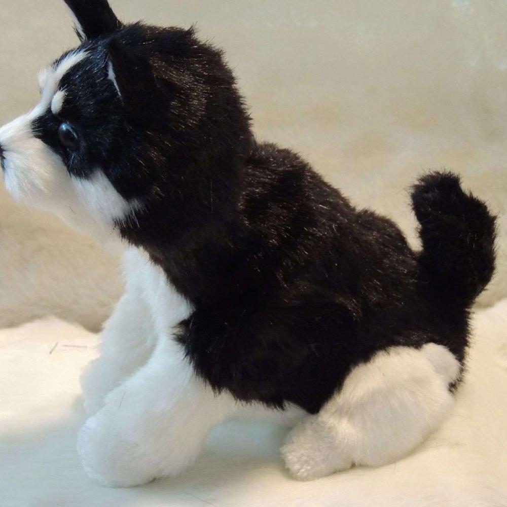 Electronic Interactive Plush Puppy Dog Toy K67922