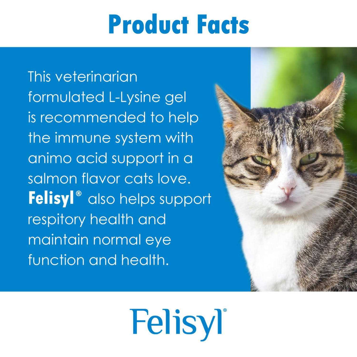 L-Lysine Gel for Cats V987350