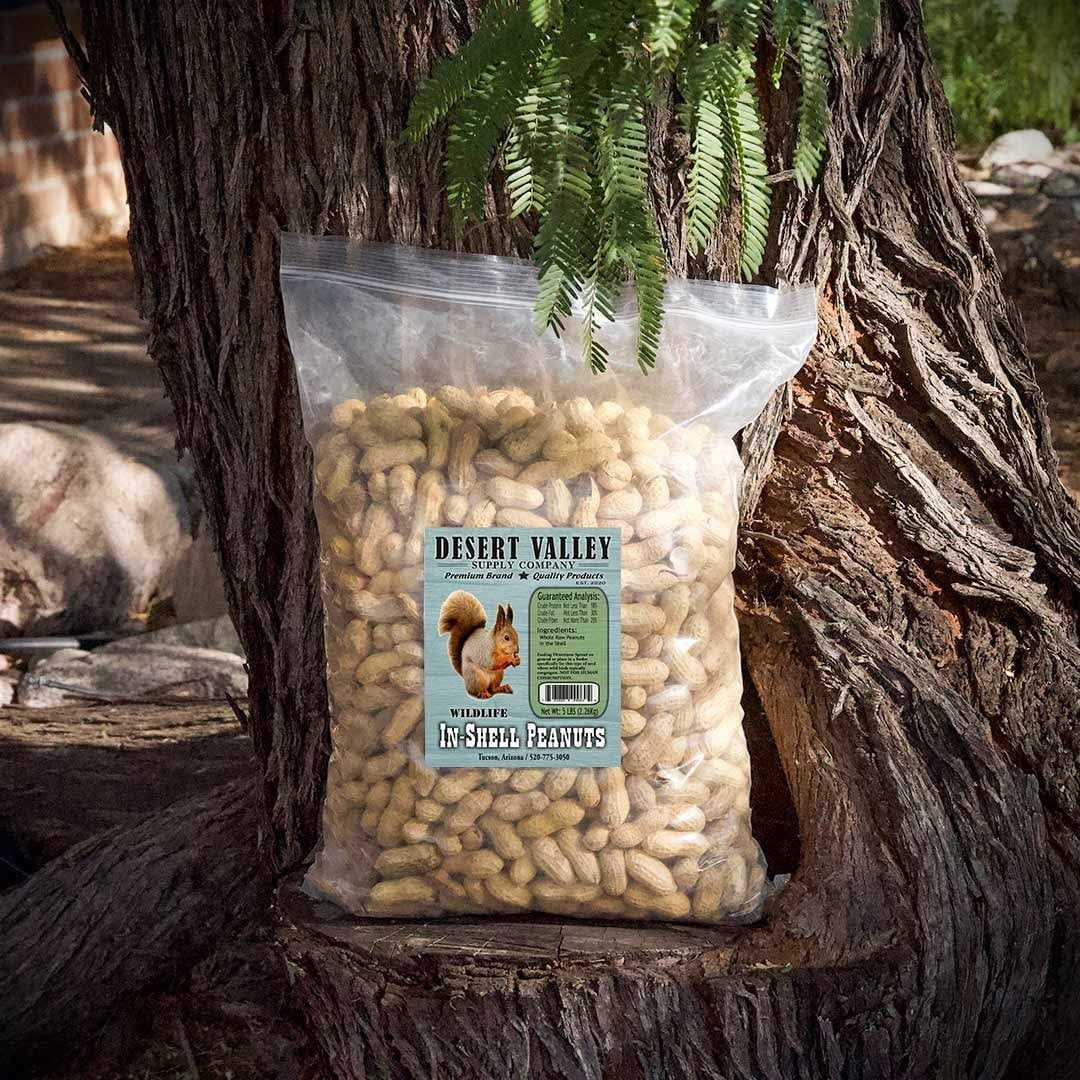 Peanuts in Shell C65342