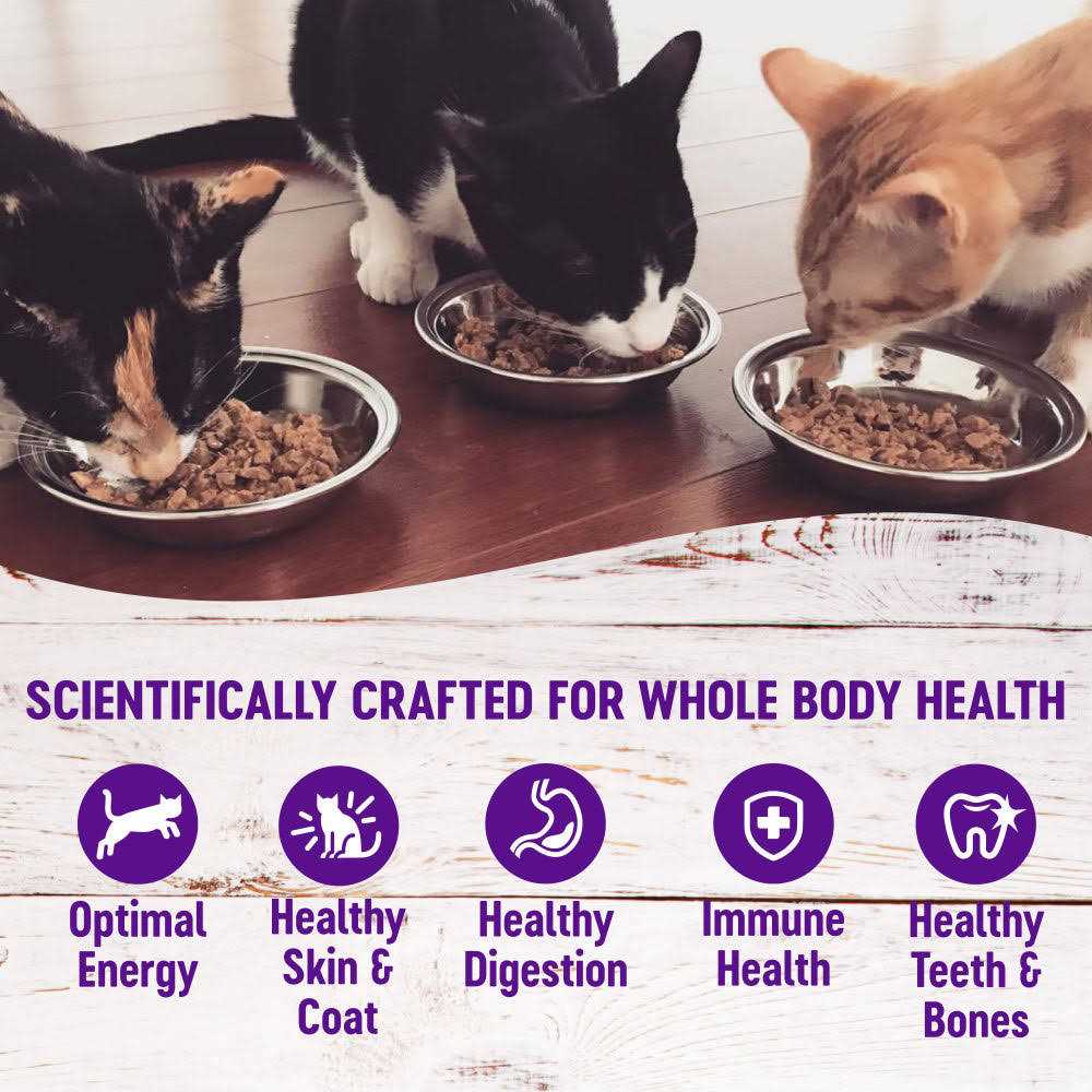 Natural Grain Free Gravy Cat Food Pouch E389017