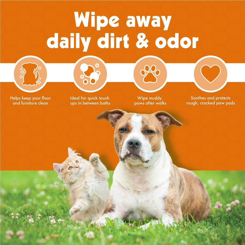 Pet Wipes W698