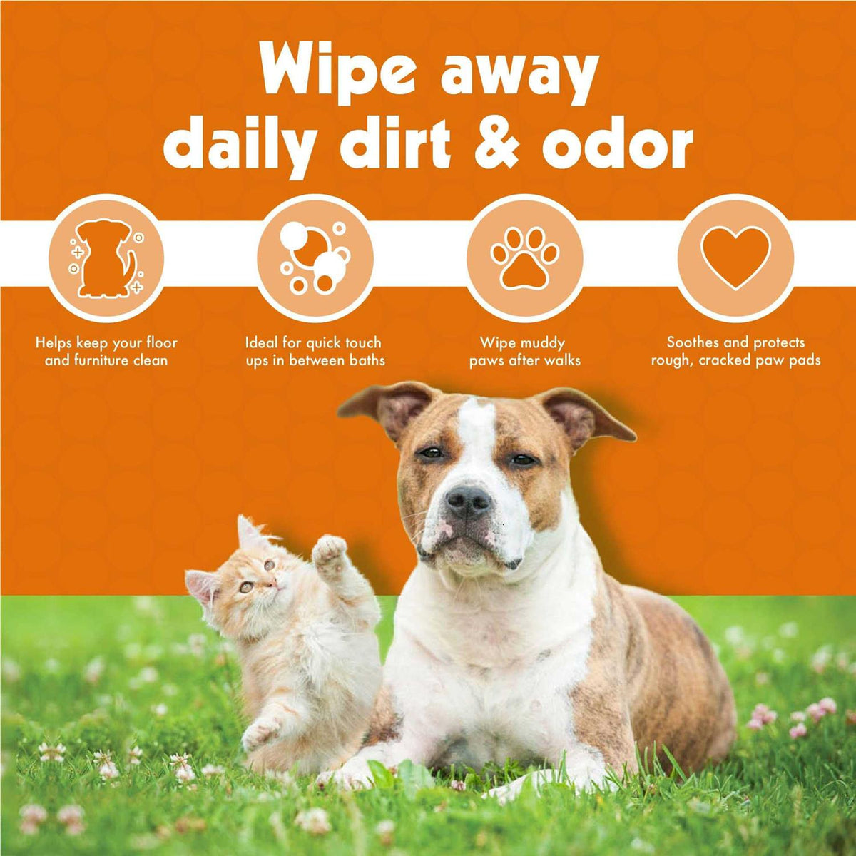 Pet Wipes W698