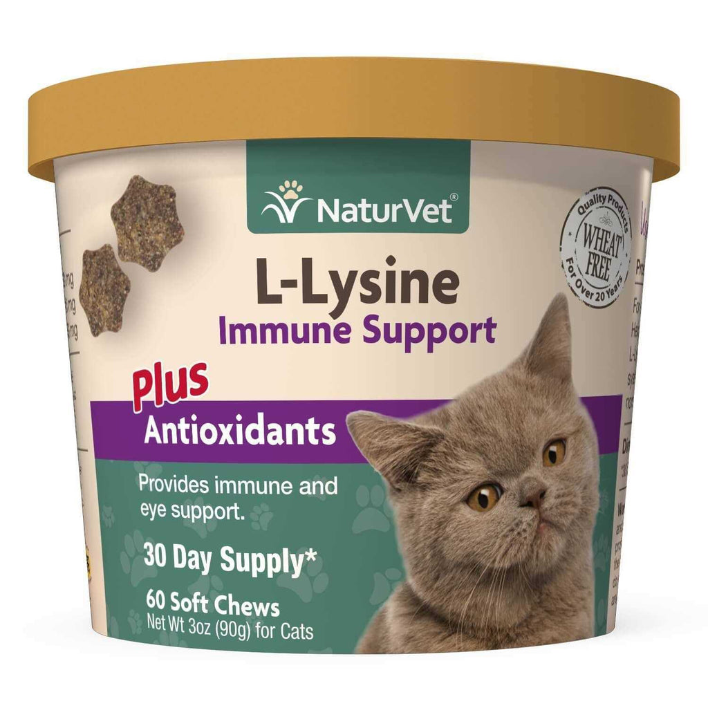 L-Lysine Immune Support Plus Antioxidants W3935