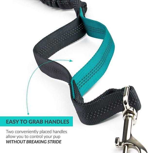Hands Free Dog Leash D1613
