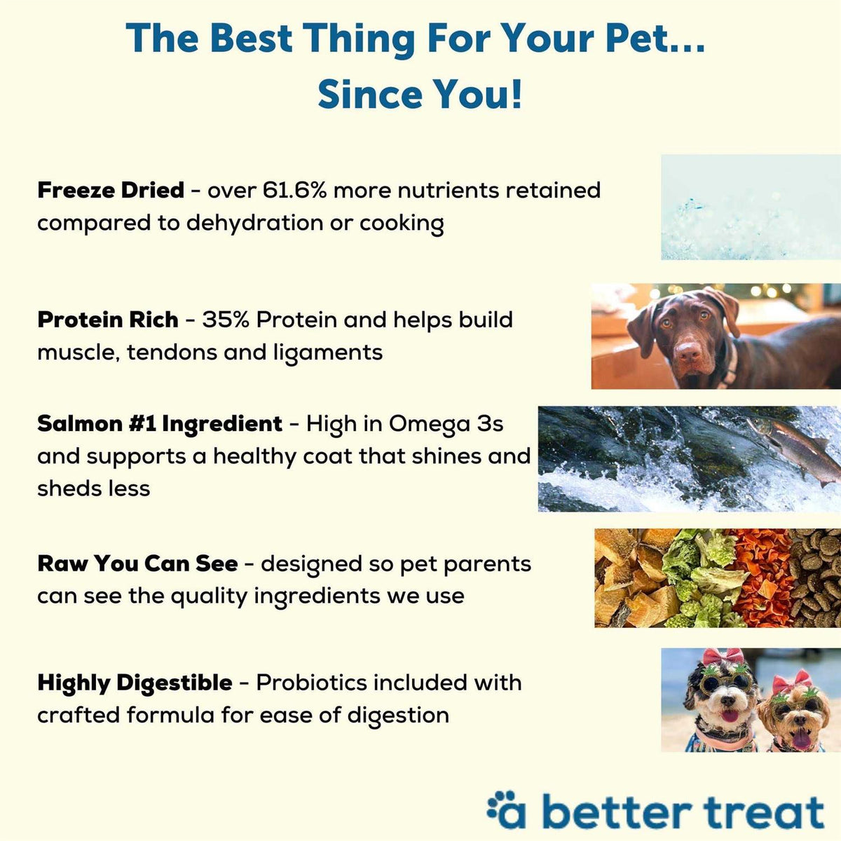 Salmon Raw Dog Food N895820