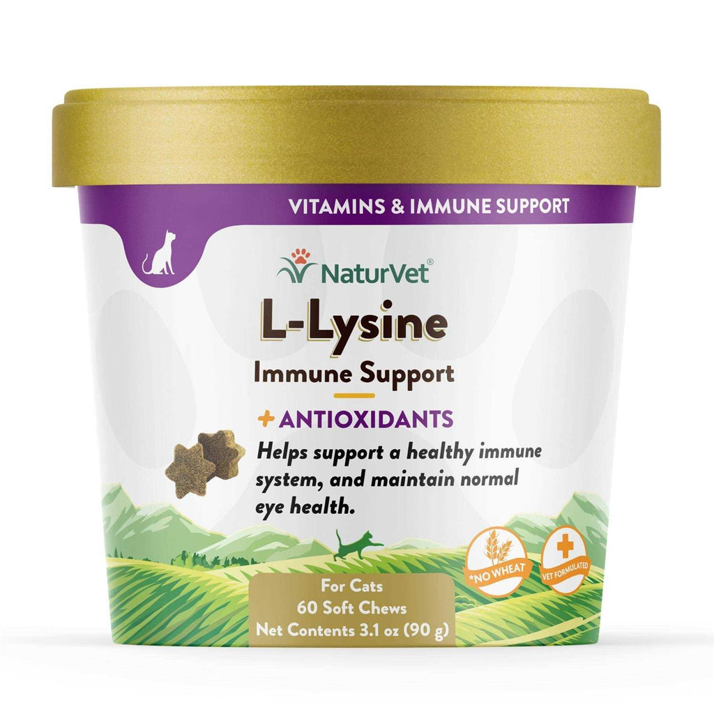 L-Lysine Immune Support Plus Antioxidants W3935