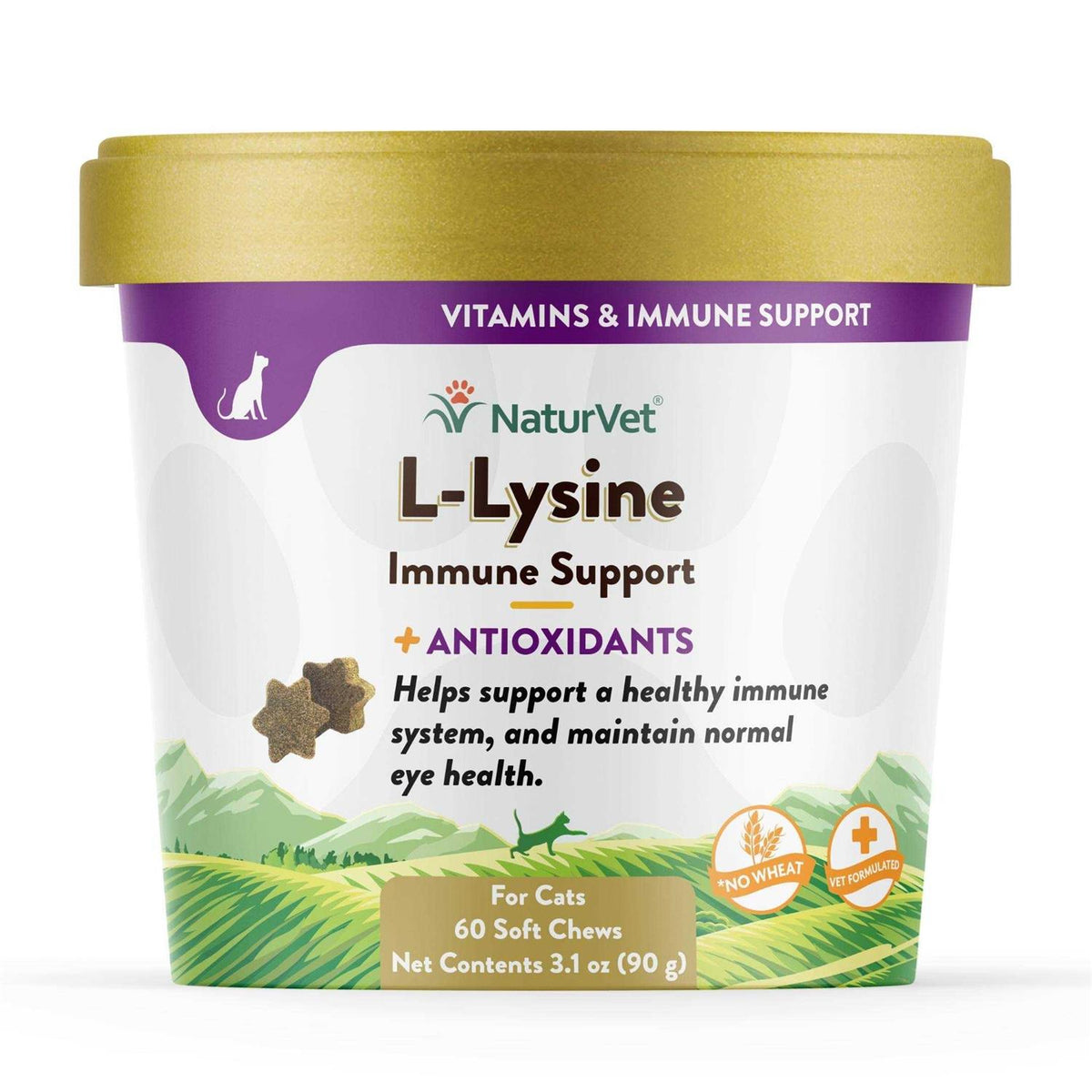 L-Lysine Immune Support Plus Antioxidants W3935