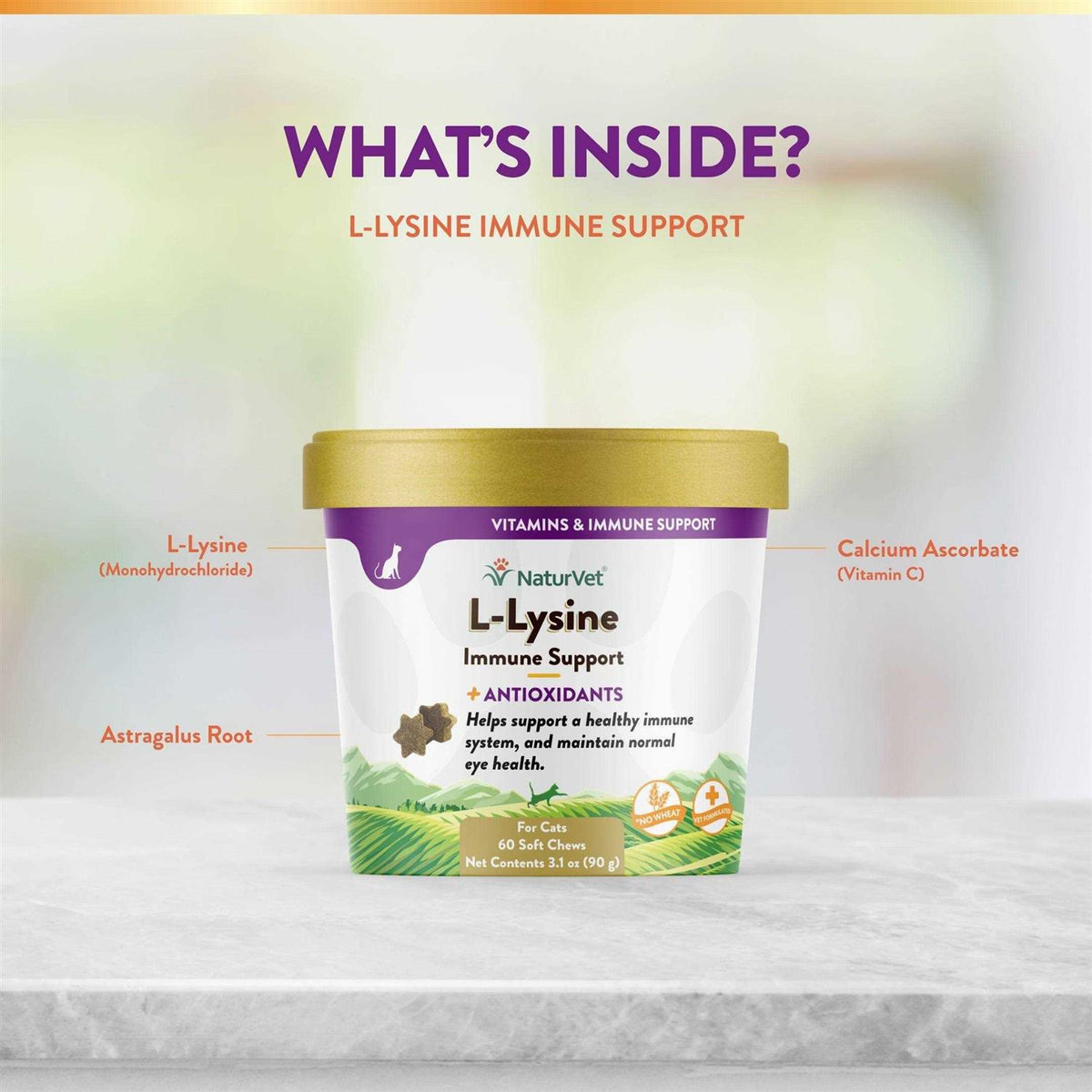 L-Lysine Immune Support Plus Antioxidants W3935