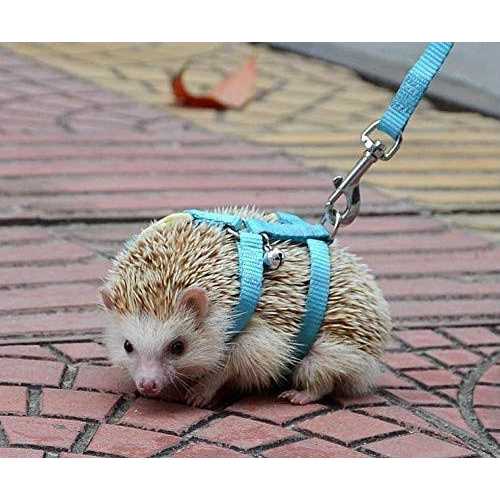 Adjustable Small Pet Harness Y89828