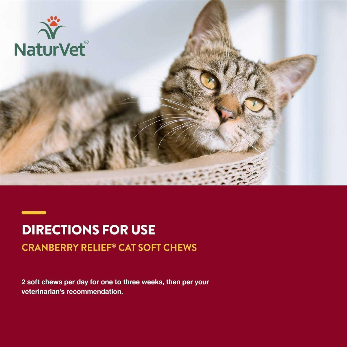 Cranberry Relief Plus Echinacea for Cats J900