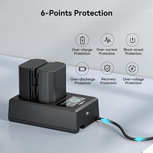 Camera Battery Charger Set for NP-FZ100 D667814